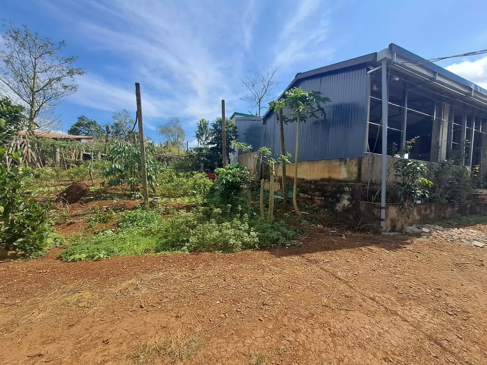 Lô đất nền phường Đoàn Kết, Buôn Hồ 120m² giá 870 triệu - Chính chủ bán gấp!