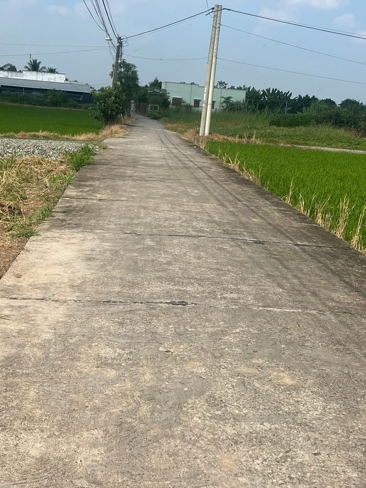 Đất nền thổ cư 100m² tại Bình Đông, Gò Công - Giá chỉ 480 triệu