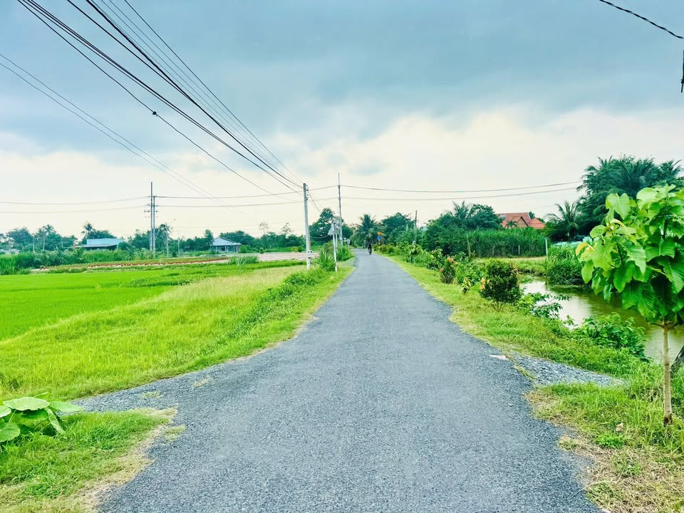 Đất nền Ấp Bình Cách, 110m² giá 350 triệu - Cơ hội đầu tư hấp dẫn!