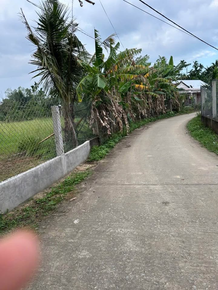 Đất nền Phước Vĩnh, Mộ Đức 700m² giá 499 triệu - Cơ hội đầu tư hấp dẫn!