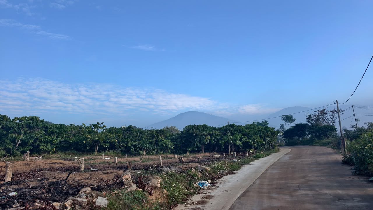 Đất thổ cư 290m² tại Cầu Diễn, Nam Từ Liêm chỉ 1.2 tỷ - Vị trí đắc địa gần hồ