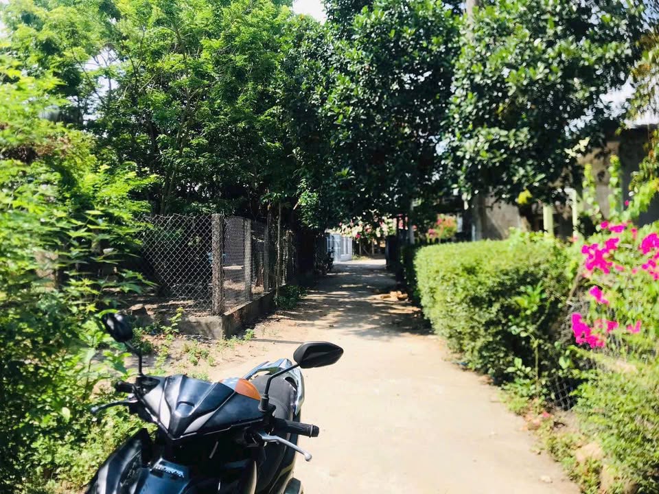 Đất nền Thị Trấn Vân Canh 128m² giá chỉ 300 triệu - Cơ hội tốt cho nhà đầu tư!