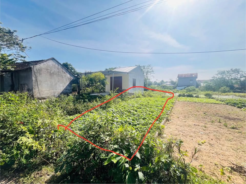 Mảnh đất 113,9m² tại Thôn Quãng, Tam Quan - Giá chỉ từ 800 triệu