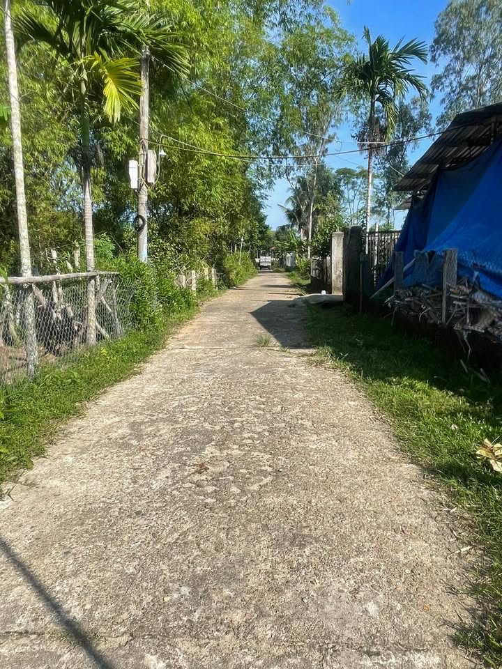 Lô Đất Vườn 1200m² tại Bích An, Tam Xuân I - Giá chỉ từ 600 triệu!