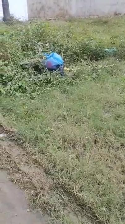 Đất nền Trường Xuân, Tam Kỳ 122m² giá chỉ 1 tỷ - Cơ hội đầu tư tuyệt vời!