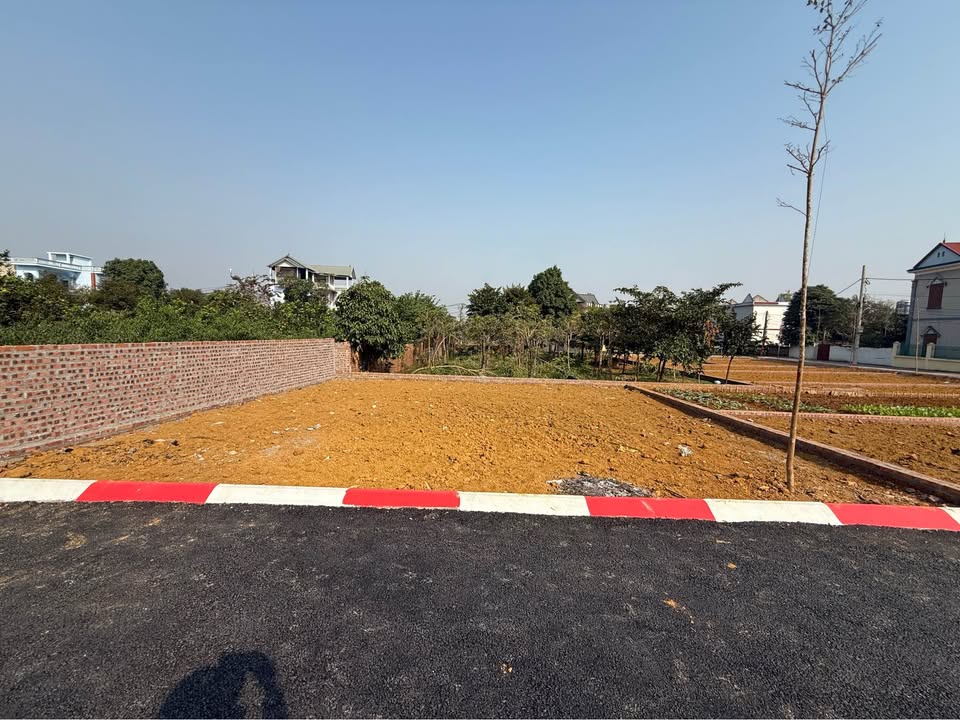 Đất thổ cư 100m² mặt tiền rộng tại Biên Giang, Hà Đông - Đơn giá chỉ 3x triệu!