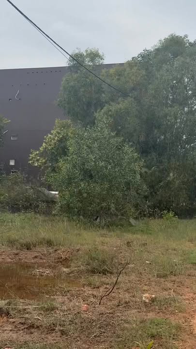 Đất nền mặt tiền Nguyễn Văn Linh 264m² giá 2 tỷ - Cơ hội đầu tư tuyệt vời!