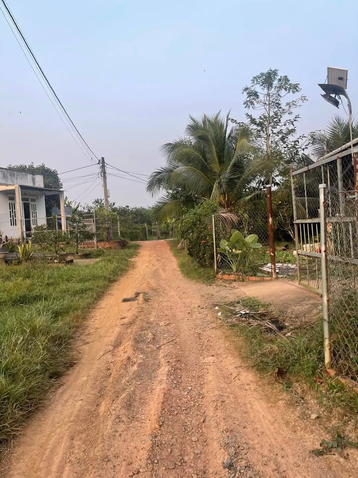 Farm 3600m² tại Vĩnh Tân, Đồng Nai giá 1.05 tỷ - Đất màu mỡ, trái cây đa dạng!