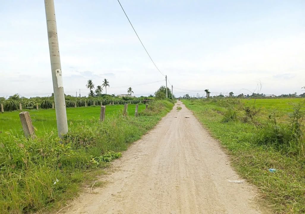 Đất nền Ninh Thuận, Xã Hàm Chính 1011m² giá 5xx triệu - Cơ hội đầu tư tuyệt vời!