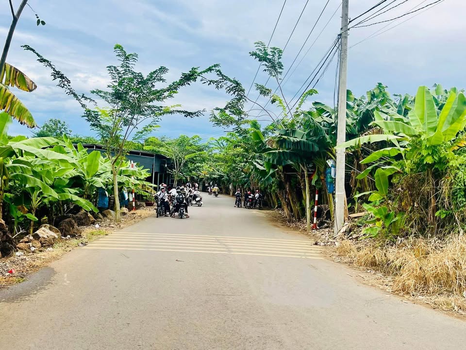 Đất Farm 5 Xào Tại Xã Tân An, Huyện Vĩnh Cửu, Đồng Nai - Giá 1.95 Tỷ, Thích Hợp Đầu Tư!