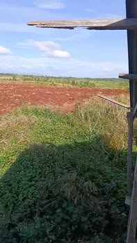 Đất nông nghiệp 12ha tại Đăk Djrăng, Mang Yang - Giá thỏa thuận hấp dẫn!