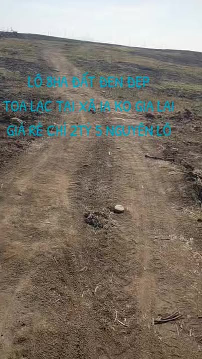 Đất nền đẹp 8ha tại xã Ia Ko, huyện Chư Sê - Cơ hội đầu tư hấp dẫn!