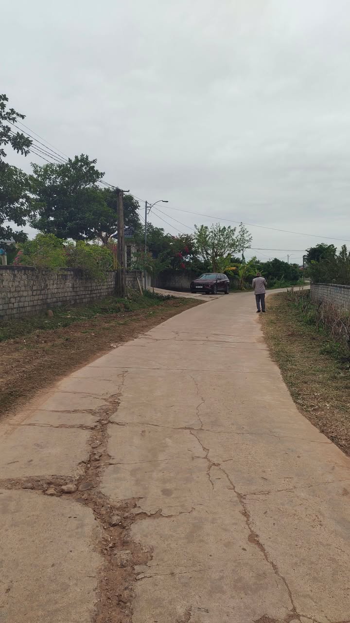 Đất vườn rộng 3.4ha tại Tân Lập, Lục Ngạn - Tiềm năng đầu tư lớn chỉ 3 tỷ!