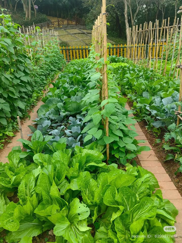 Đất nền Hà Dừa Điện Ngọc 100m² giá 2.9 tỷ - Gần chợ, trường học thuận tiện!