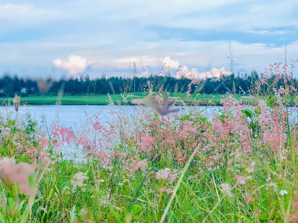 Lô đất FPT City Đà Nẵng 90m² giá 5 tỷ - Vị trí đẹp, pháp lý rõ ràng!