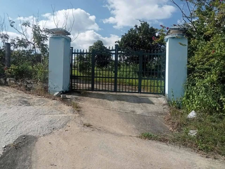 Đất nhà vườn trái cây 25.000m² tại Ninh Sơn chỉ 2.x tỷ - Ô tô vào tận nơi!