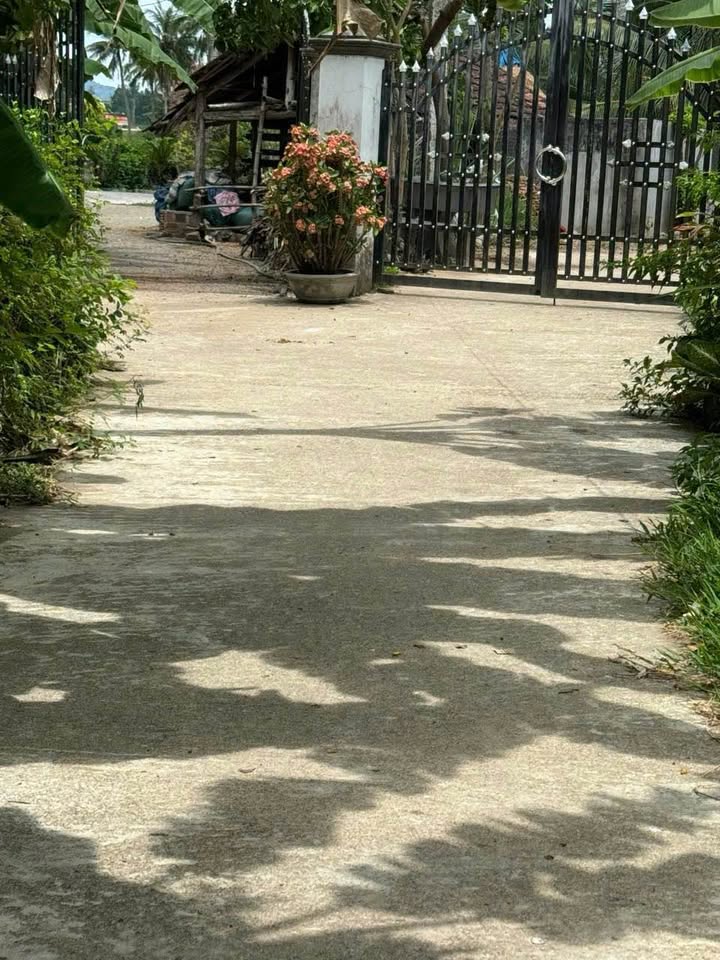 Đất nền 80m² tại Mỹ Hiệp, Phù Mỹ - Giá chỉ 149 triệu - Sổ hồng chính chủ!