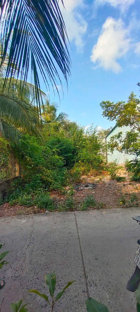 Đất nền Vĩnh Trạch Bạc Liêu 150m² giá 420 triệu - Nền cao, vị trí đẹp!