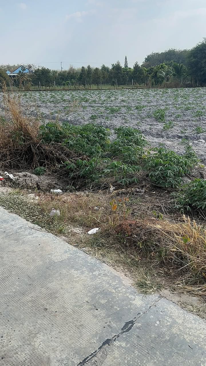 Đất nền mặt tiền đường số 4, kp 5 Minh Hưng, 250m² giá 7.7 tỷ - Cơ hội đầu tư sinh lời!