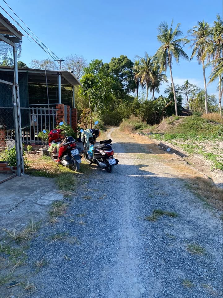 Nhà nhỏ xinh tại Trường Lưu, Tây Ninh 110m² giá 590 triệu - Hỗ trợ tài chính thấp!