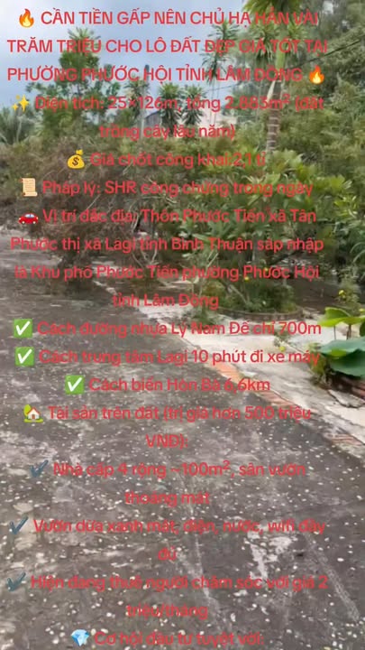 Đất đẹp 2883m² tại Phước Hội, Lâm Đồng giá 2.1 tỷ - Cơ hội đầu tư tuyệt vời!