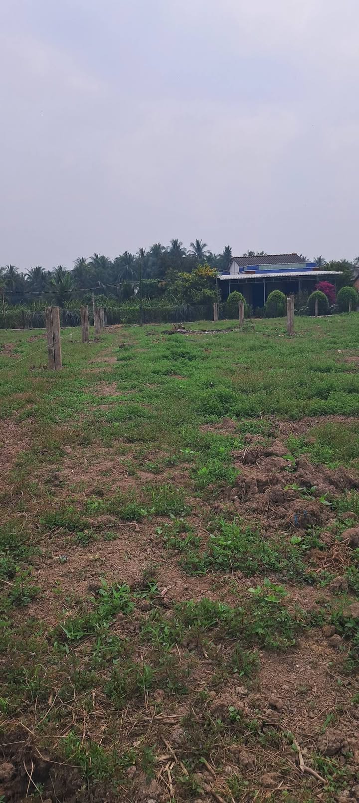 Đất nền 345m² tại xã Tân Thuận Bình, giá chỉ 222 triệu - Đầu tư sinh lời!