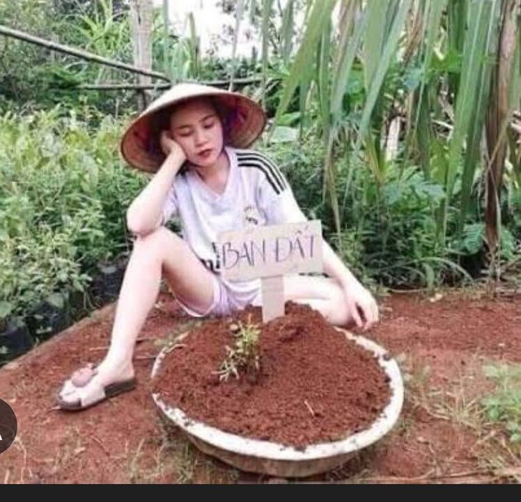 Bán đất mặt tiền kinh doanh Tân Kỳ 2925m² - Cơ hội đầu tư hấp dẫn!