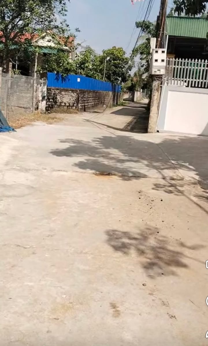 Đất nền xóm Thanh Nam, Diễn Hoàng, 133m² - Khu dân cư đông đúc, phát triển!