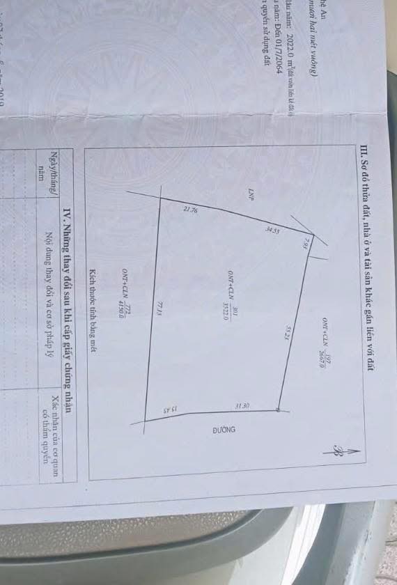Đất thổ cư 8000m² tại Xã Đại Sơn, Huyện Đô Lương - Giá chỉ 1.5 tỷ!