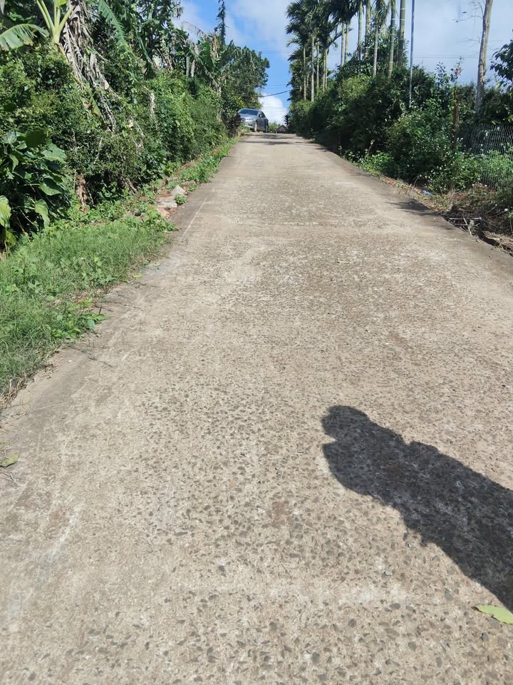 Đất thổ cư 60m² tại Buôn Hồ - Giá chỉ 300 triệu, cơ hội đầu tư tuyệt vời!