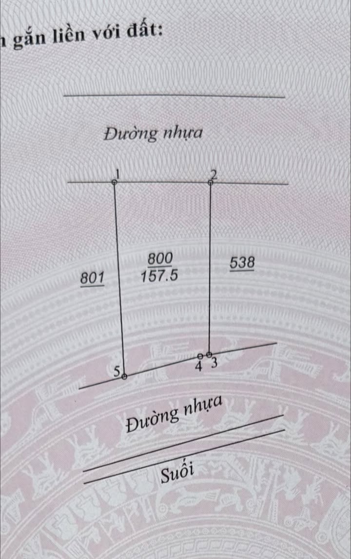 Đất Lộc An 157m² giá 1,1 tỷ - Đường nhựa lớn, giao thông thuận lợi!