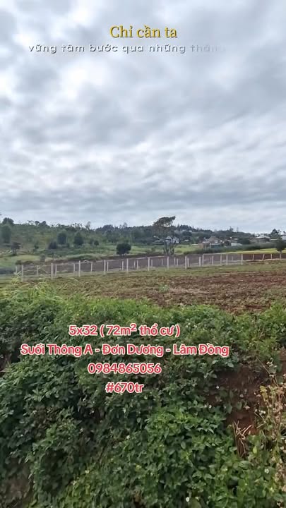 Đất nền Suối Thông A, Đơn Dương 72m² giá 670 triệu - Đường ô tô vào tận nơi!