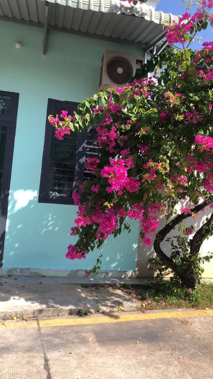 Nhà cho thuê tại Tân Xuân, Hóc Môn 1 phòng ngủ - Giá chỉ 2.5 triệu/tháng!