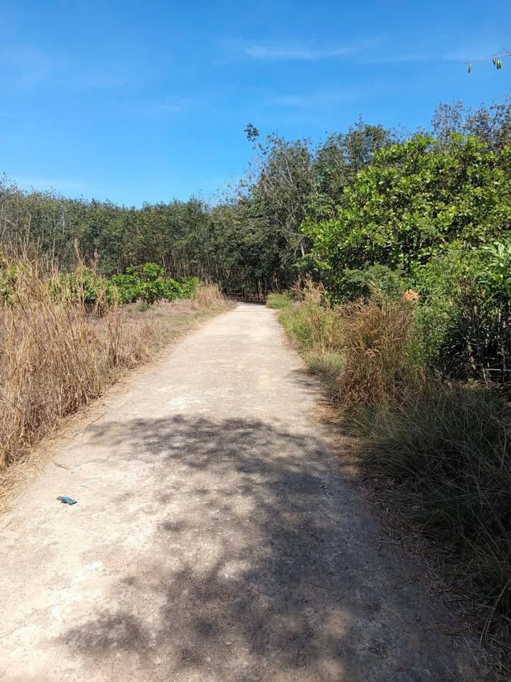 Đất nền 360m² tại Xã Tân Thành, giá thỏa thuận - Đường bê tông dân cư sầm uất!