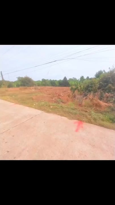 Đất nền ấp 6, xã Phú Thọ, huyện Tam Nông, 210m², giá chỉ 4xx triệu - Cơ hội đầu tư tuyệt vời!