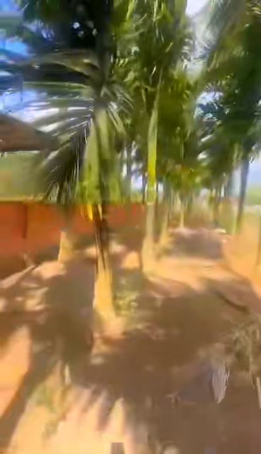 Đất nền xã Đắk Môl 1400m² giá 1.7 tỷ - Cơ hội đầu tư tuyệt vời!