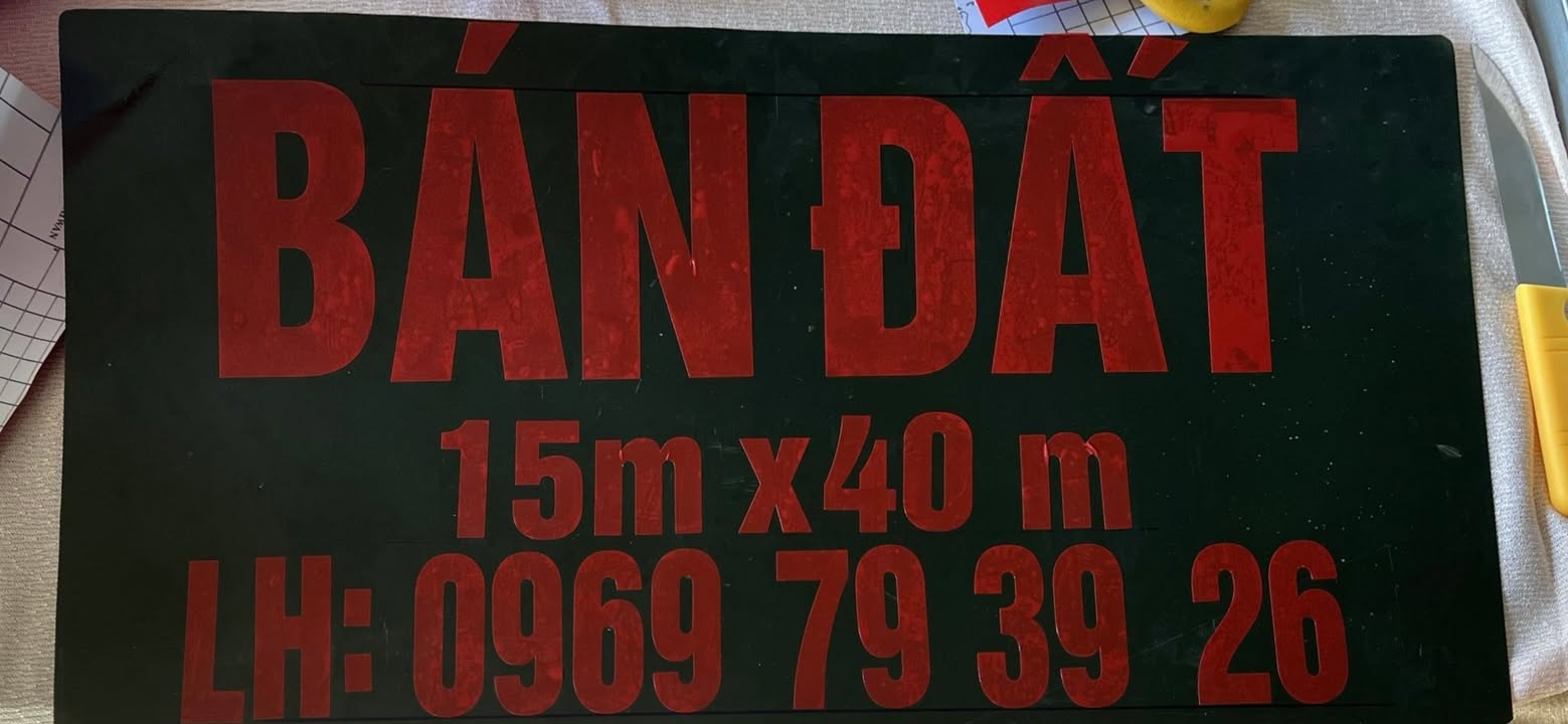 Đất thổ cư Tân Đông 600m² giá chỉ 6 tỷ - Sổ đỏ chính chủ, đầu tư tiềm năng!