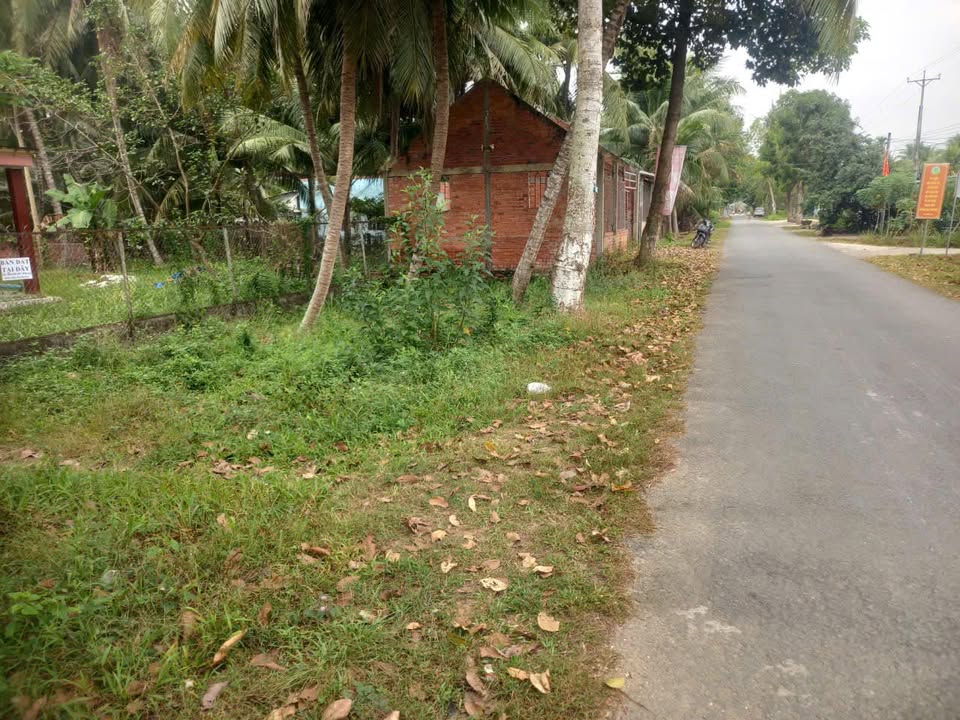 Đất vườn Đồng Khởi Mới, Bình Khánh 4.000m² chỉ 1.8 tỷ - Đầu tư sinh lời nhanh!