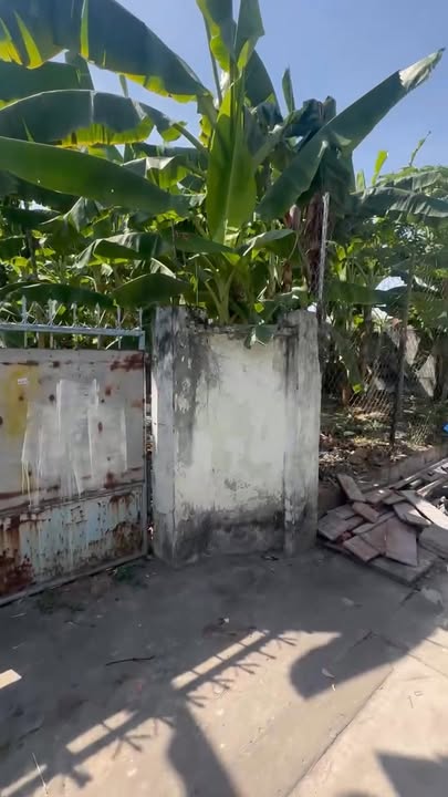 Đất thổ cư 90m² tại Giáo Xứ Xuân Trà, Biên Hòa - Sổ riêng, giá 2.25 tỷ!