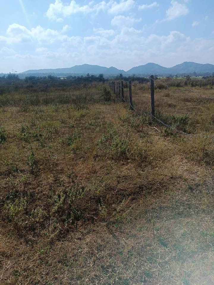 Đất nền thôn 8, phường BMT, 500m² - Sổ hồng chính chủ, chờ sang tên!