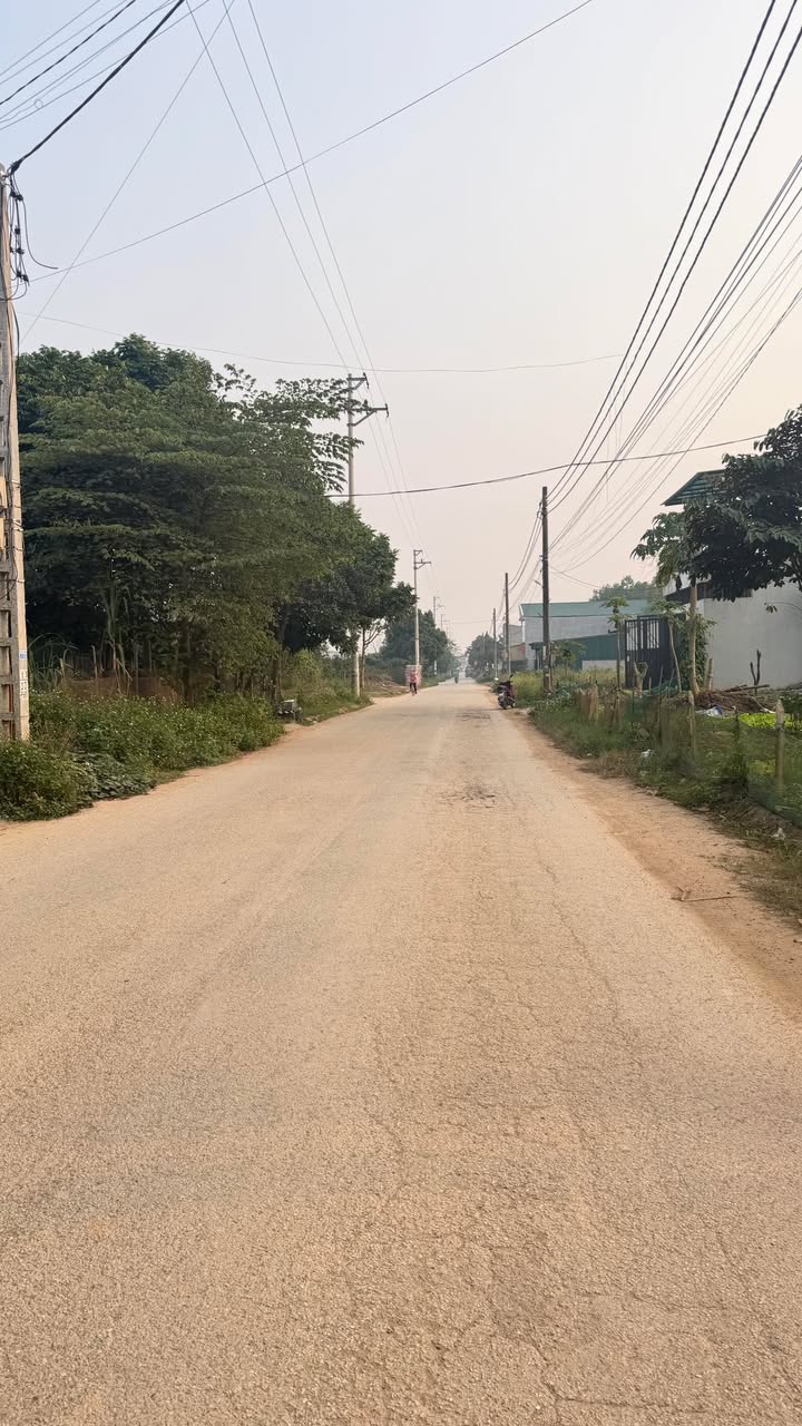 Đất thổ cư 108m² Bắc Trung Tâm Phú Hộ - Giá chỉ 2 tỷ - Đầu tư sinh lời ngay!