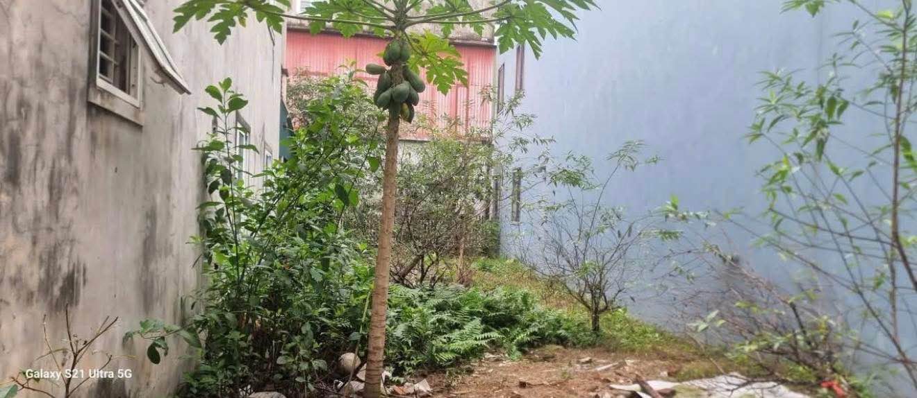 Đất nền Hà Huy Tập 53m² giá chỉ từ 1 tỷ - Vị trí đắc địa, giao thông thuận lợi!