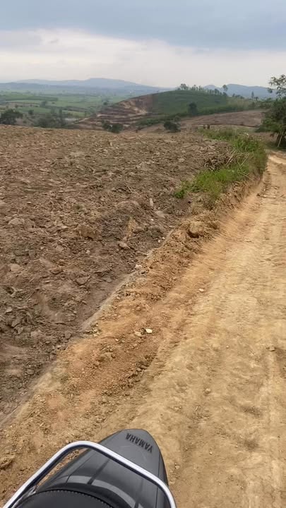 Farm 15000m² Suối Phèn, Sơn Hòa giá 700 triệu - Đất đen pha cát bao quanh suối