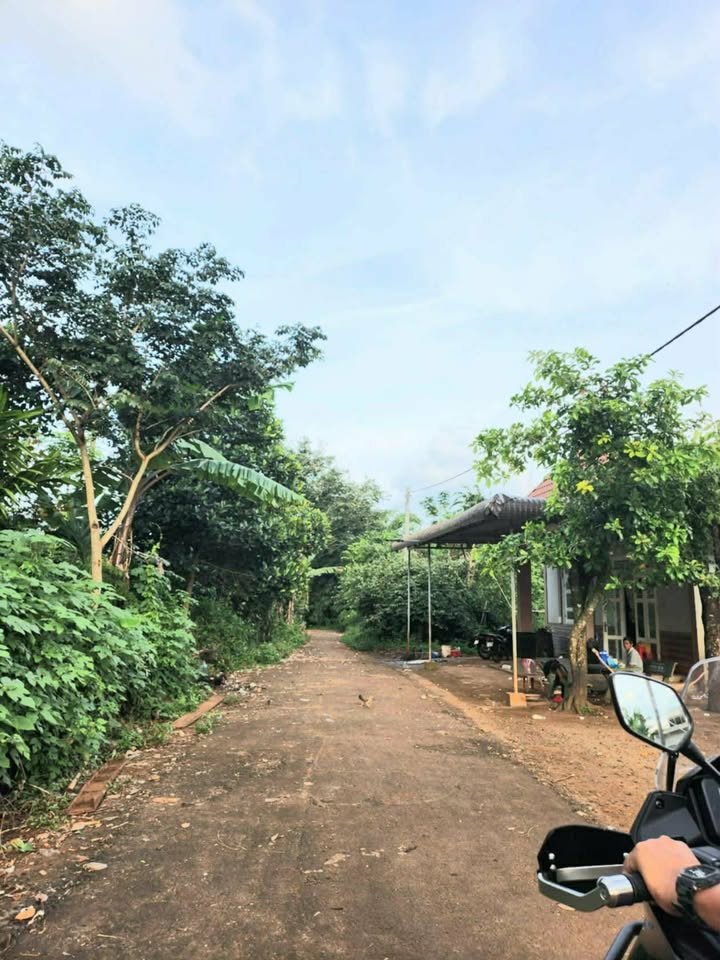 Đất nền Tân Lập BMT 260m² giá 1,2 tỷ - View hồ Ea Chu Cáp tuyệt đẹp!