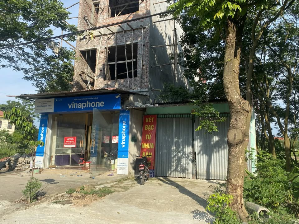 Đất thổ cư 100m² tại thôn Quan Ngại, xã Tam Quan - Đường ô tô vào tận nơi!