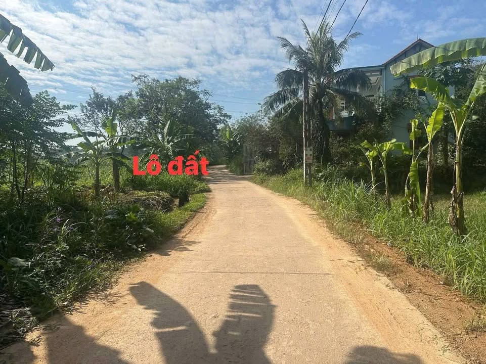 Đất thổ cư 140m² trung tâm thôn Liễn Sơn giá 1 tỷ - Cơ hội đầu tư tuyệt vời!