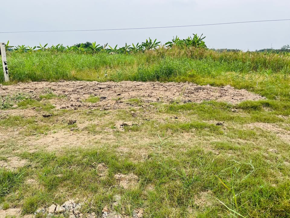 Đất mặt tiền ấp Bình Huề 1, Xã Đại Hòa Lộc 370m² giá 550 triệu - Đất vuông vức, mặt tiền lớn!