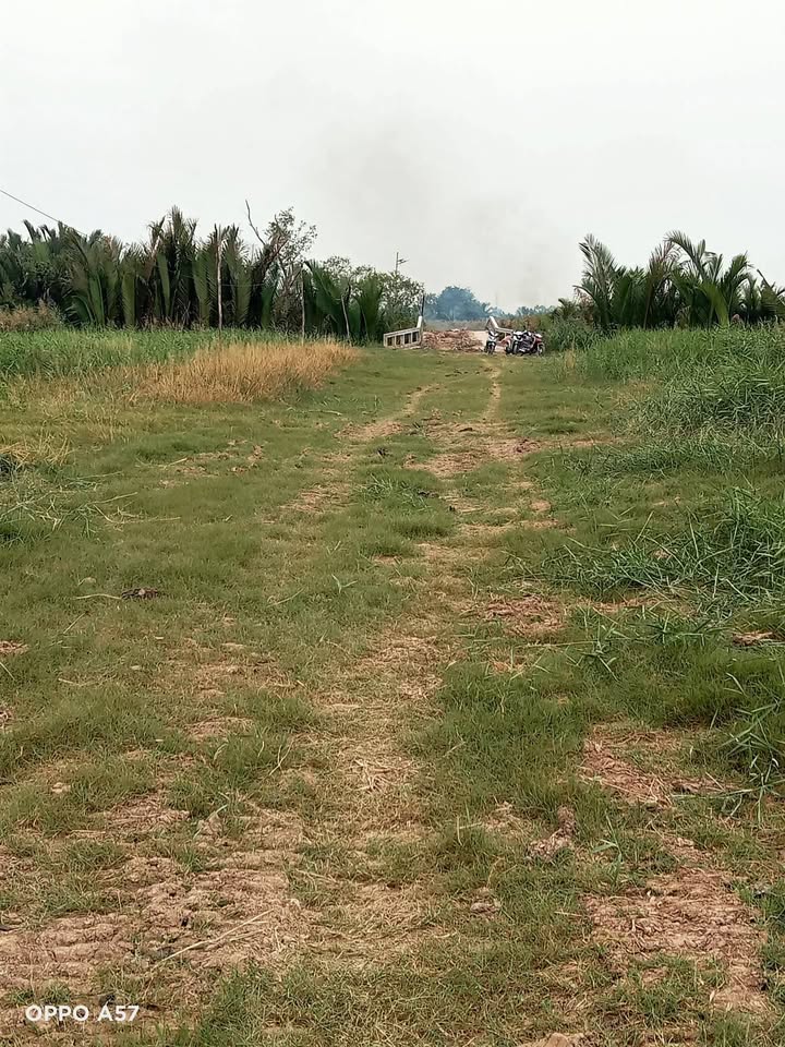 Đất nền Đại Hòa Lộc, Bình Đại 370m² giá 2.035 tỷ - Cơ hội đầu tư hấp dẫn!