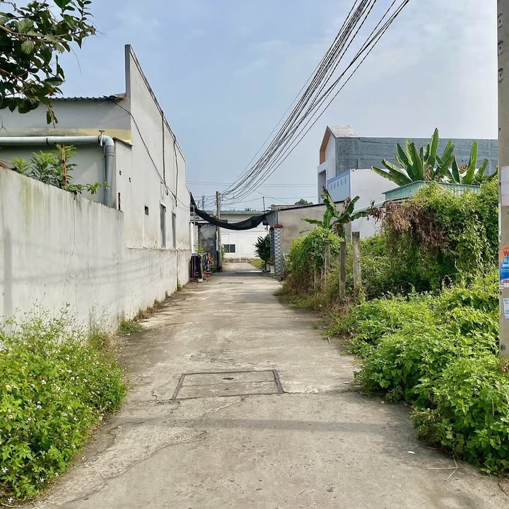 Đất nền Phường 8 Bến Tre 105m² giá 900 triệu - Sổ hồng đầy đủ, thuận tiện xây dựng!