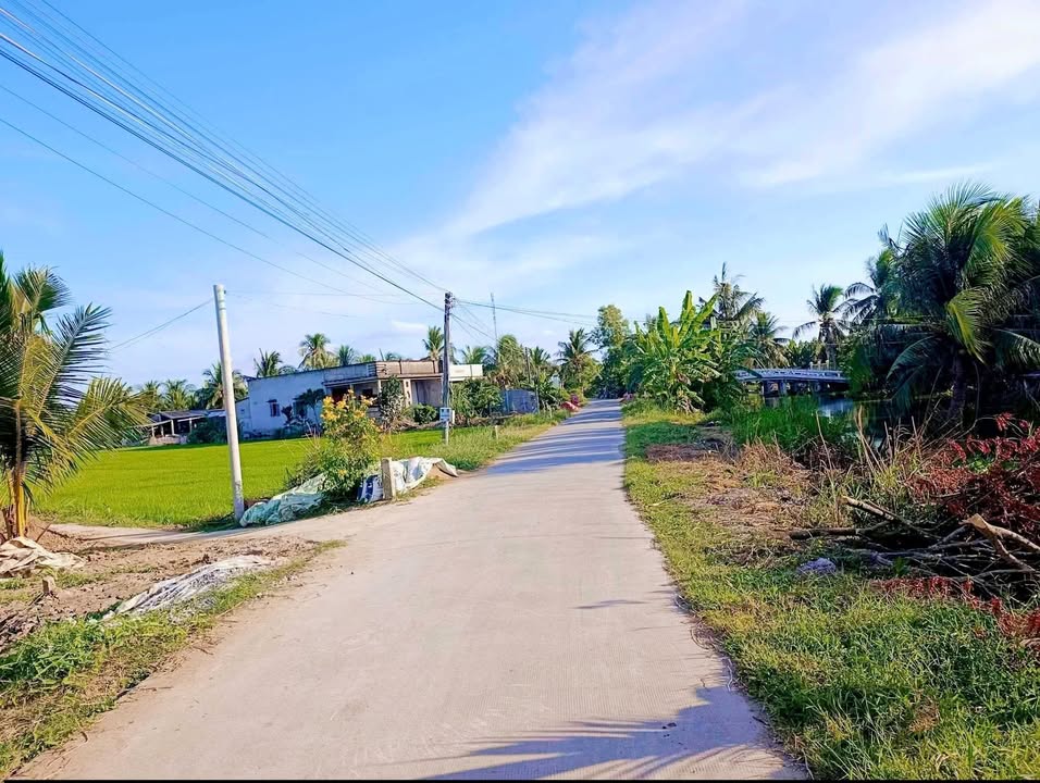 Đất vườn 2,6 công Mỹ Thạnh, Ba Tri giá chỉ 6,5 tỷ - Đường ô tô vào tận nơi!